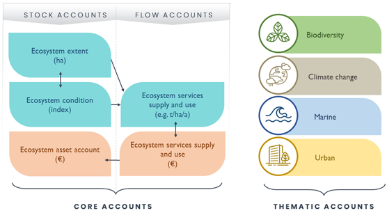 Ecosystem Accounting small